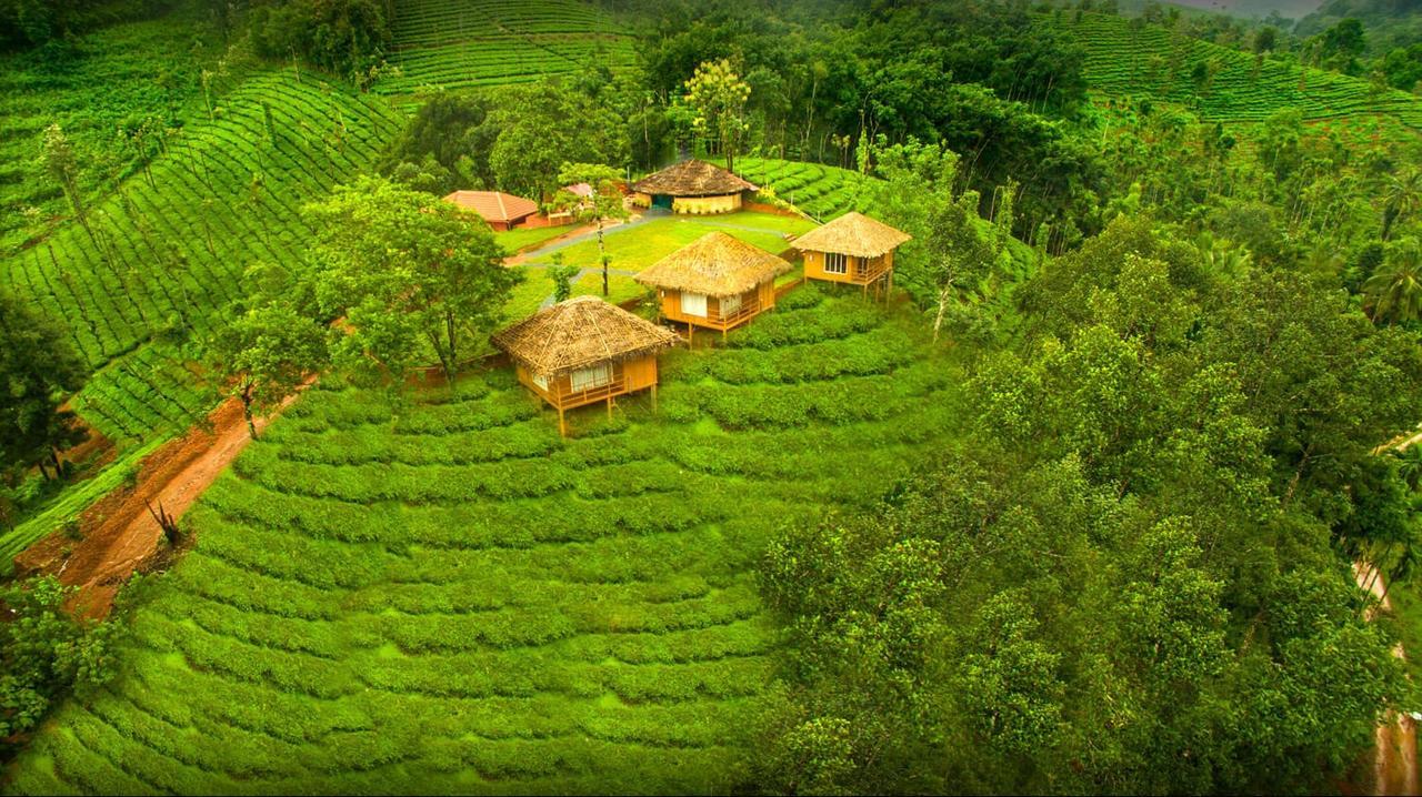 Oxyfarm Resorts Wayanad Exterior photo